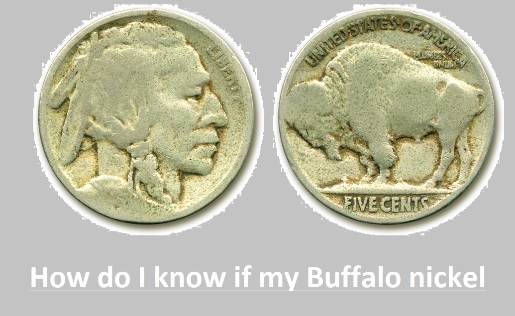 No Date Buffalo Nickels: How to Find Their Value - The Engineering Info