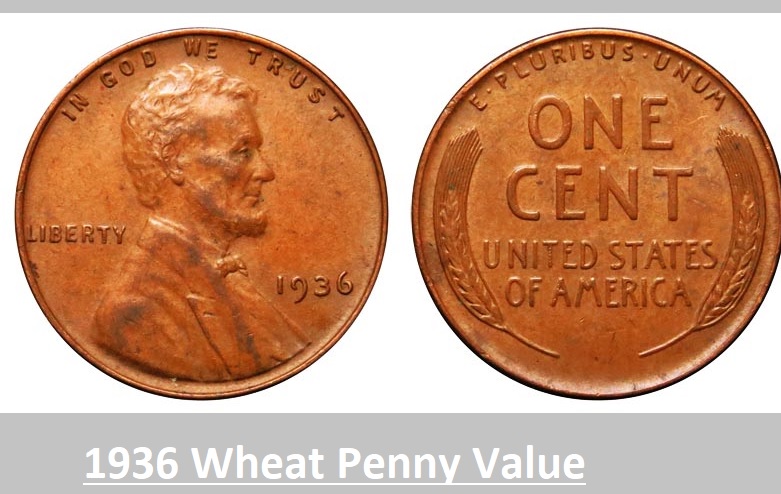 1936 Wheat Penny Value? D”, “S”, No Mint, Error, History & Features ...